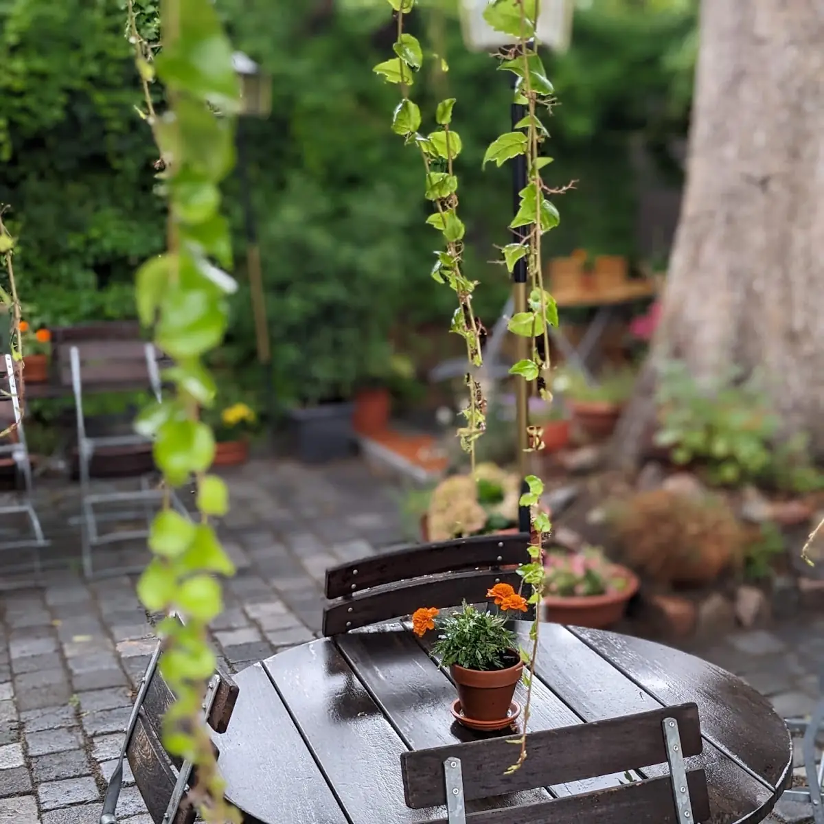 Atmosphäre photo 9