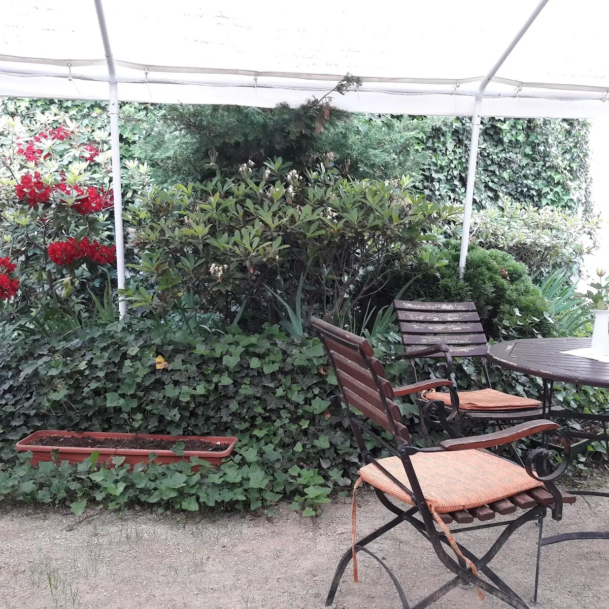 Atmosphäre, Restaurant Hungaria - Bela Czutor