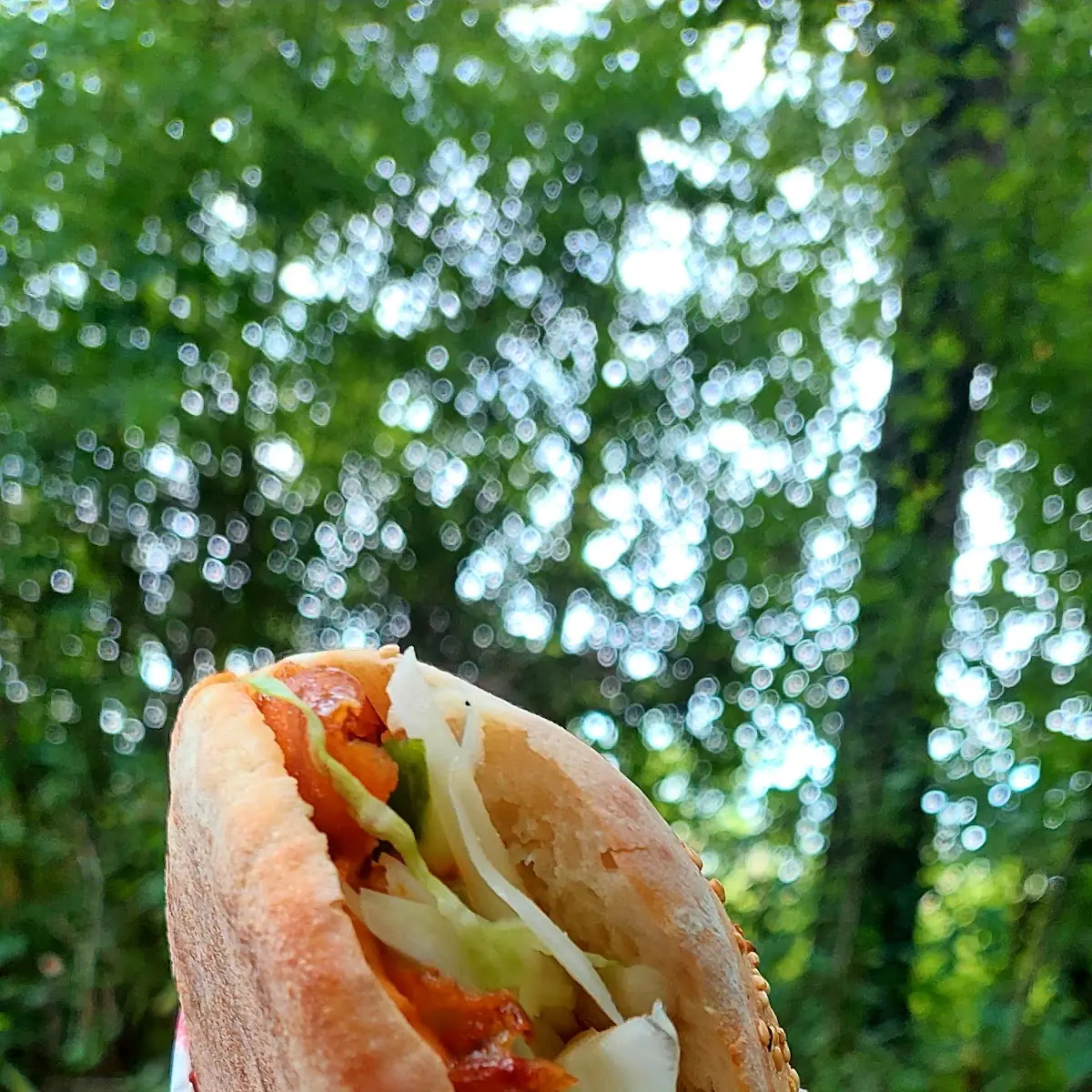 Essen und Trinken, Ege Kebab/Döner und Pizzahaus