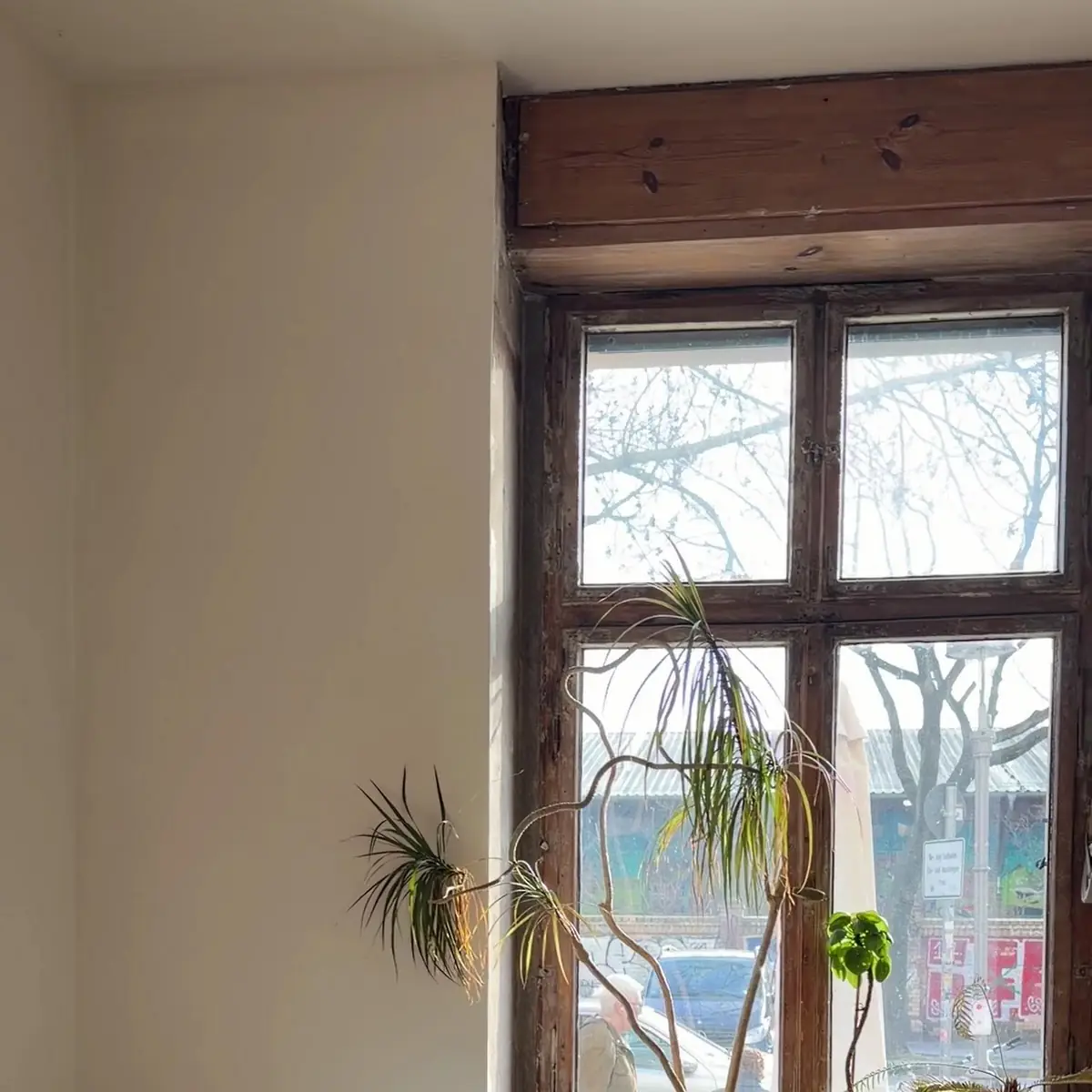 Atmosphäre photo 3