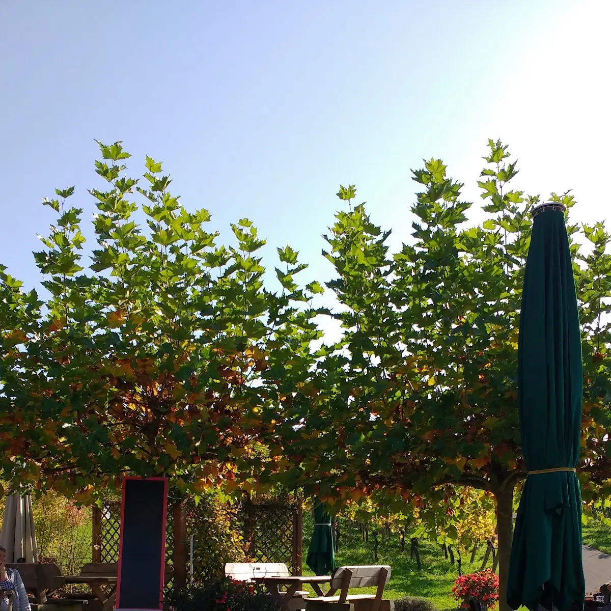 Atmosphäre photo 9