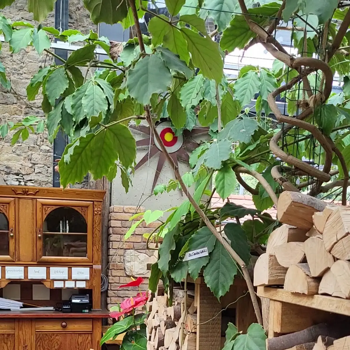 Atmosphäre, Hinterhöfle, Wein-, Biergarten & mehr