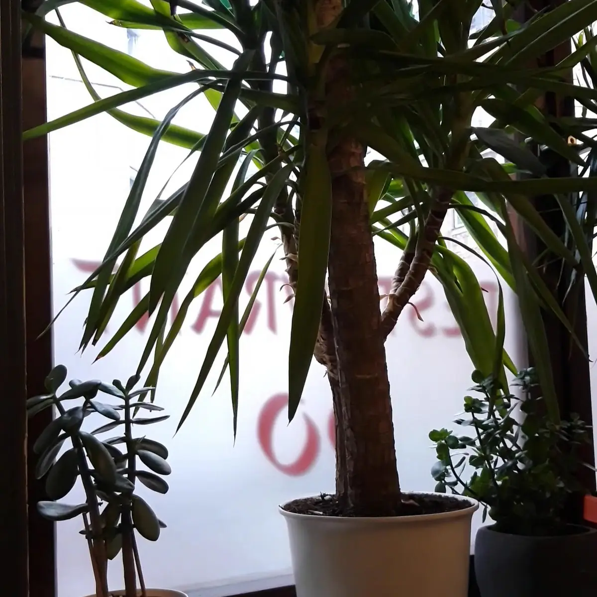 Atmosphäre photo 2