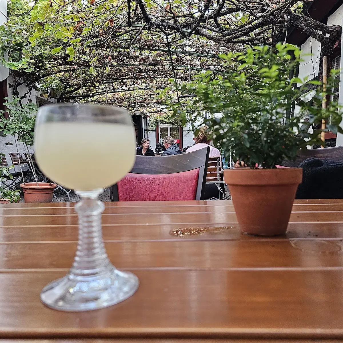 Essen und Trinken photo 3