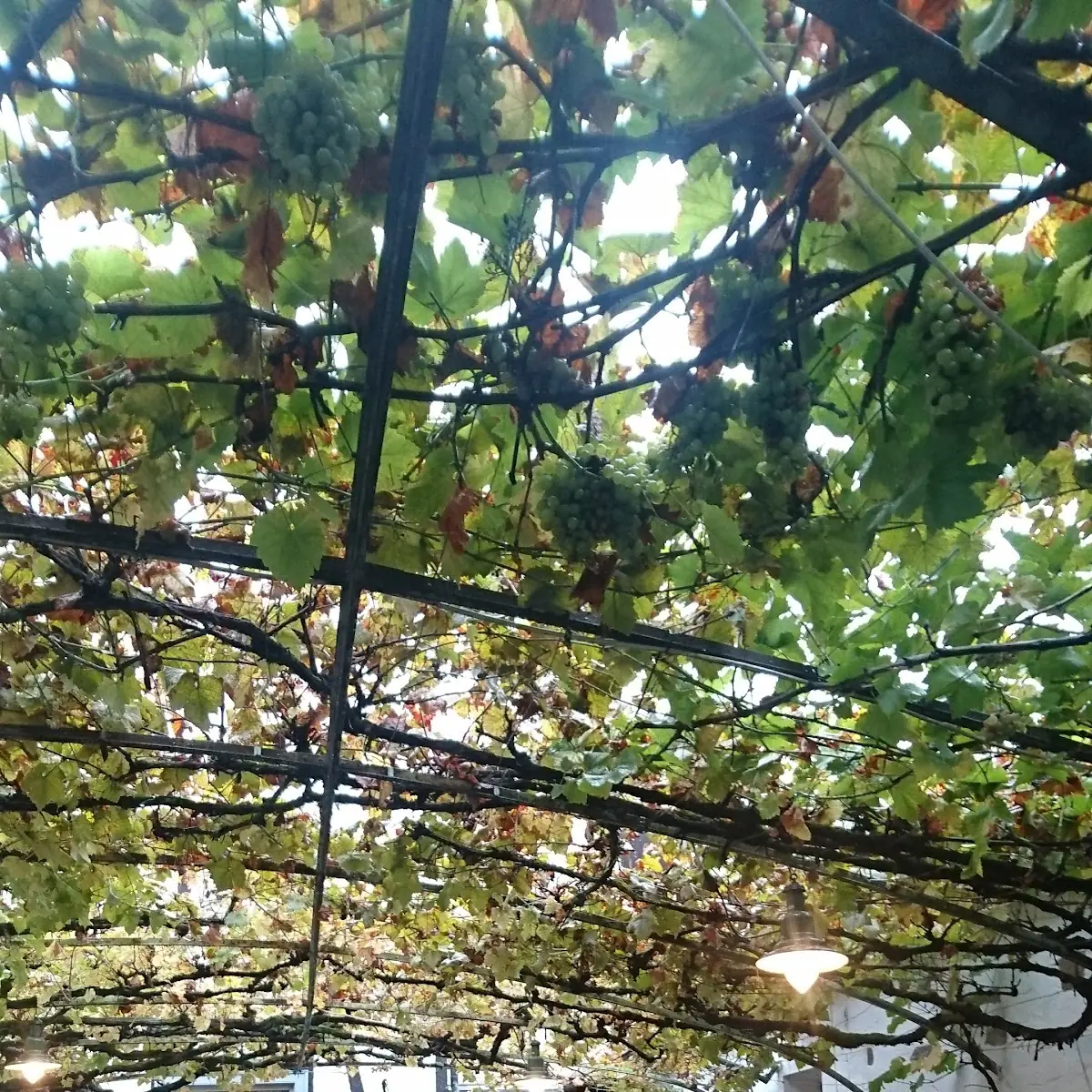 Atmosphäre photo 9