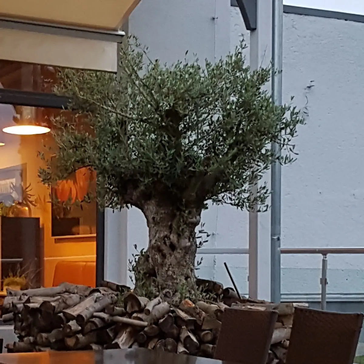 Atmosphäre photo 4