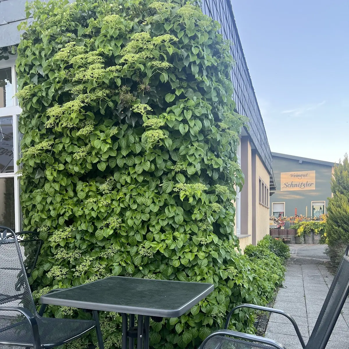 Atmosphäre photo 2