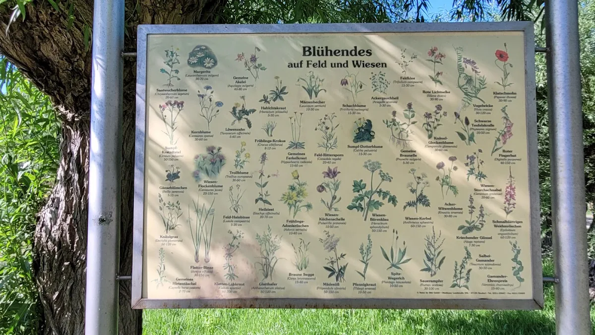 Speisekarte, Schmuggler Bude