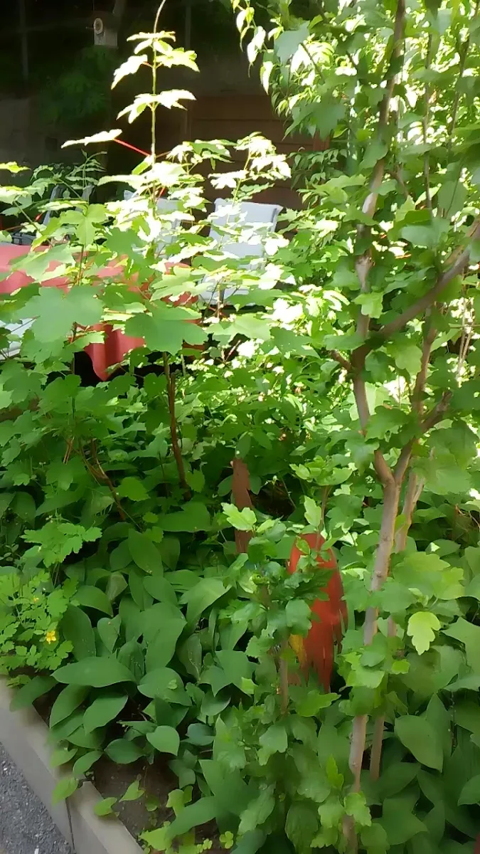 Atmosphäre photo 2
