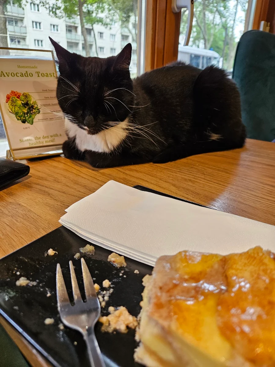 Essen und Trinken photo 4