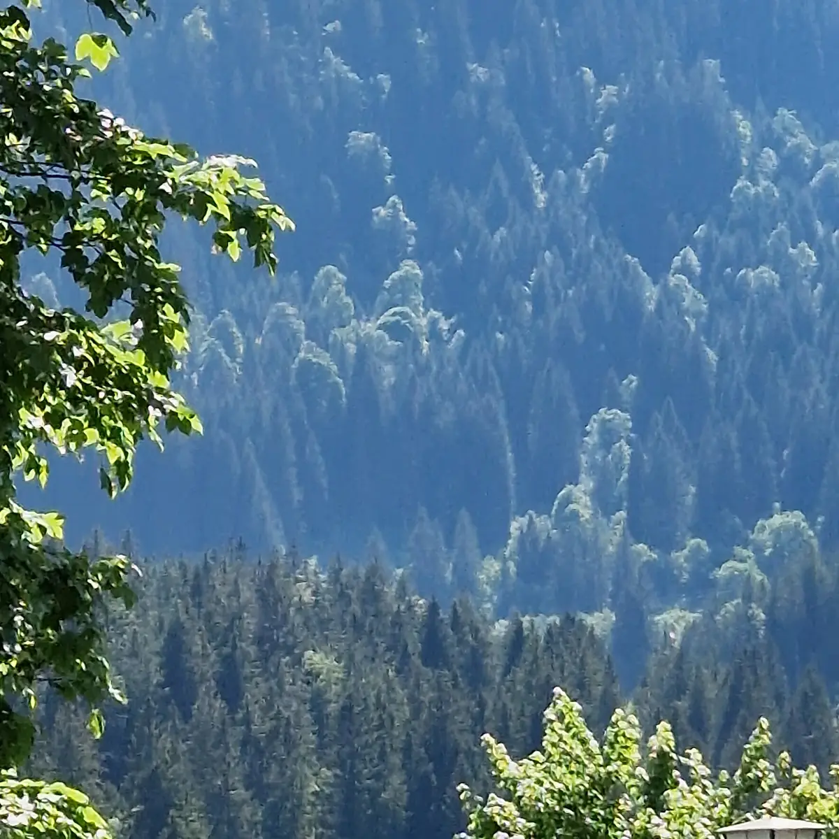 Atmosphäre photo 8