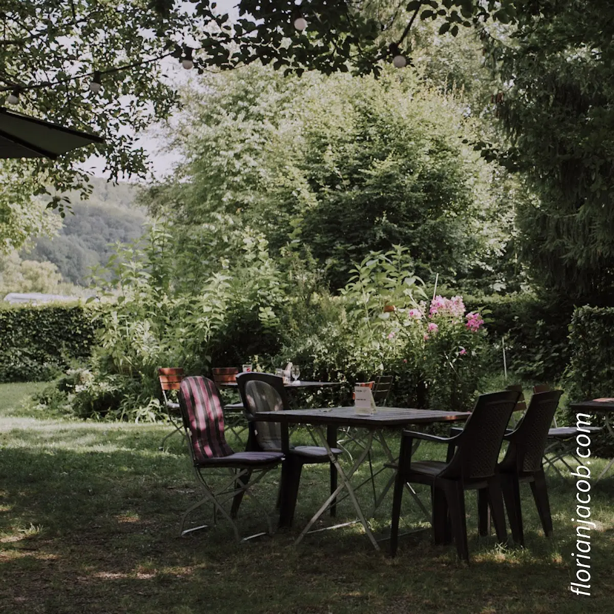 Atmosphäre, Gasthof Schellental - Restaurant in Bad Pyrmont