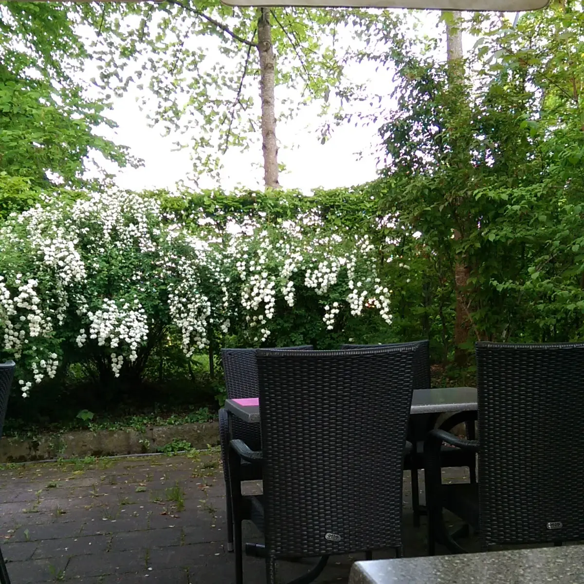 Atmosphäre photo 6
