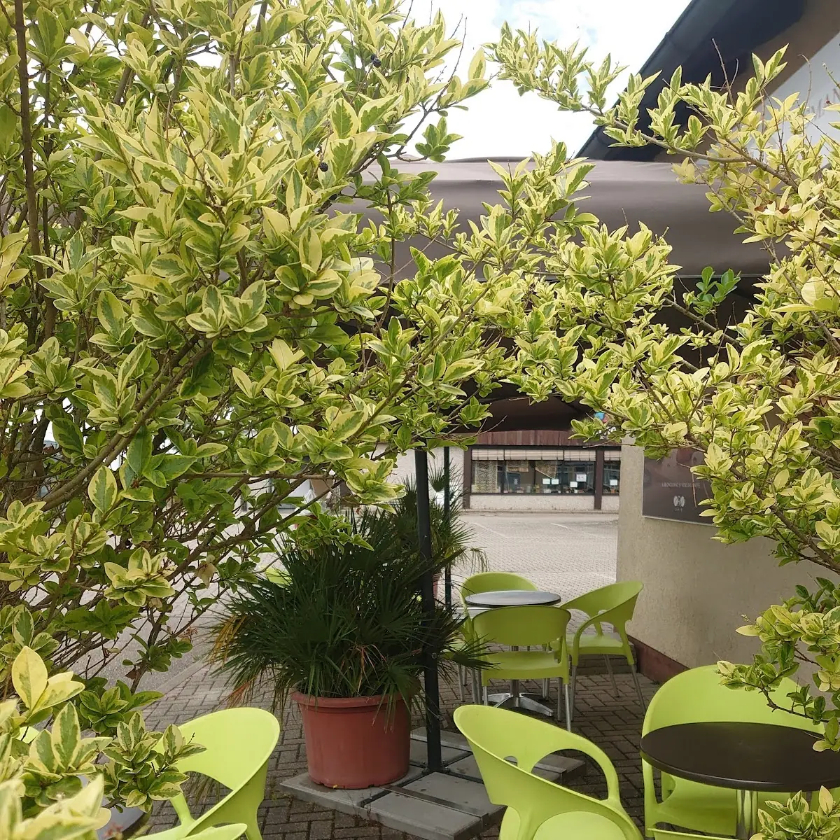 Atmosphäre photo 6