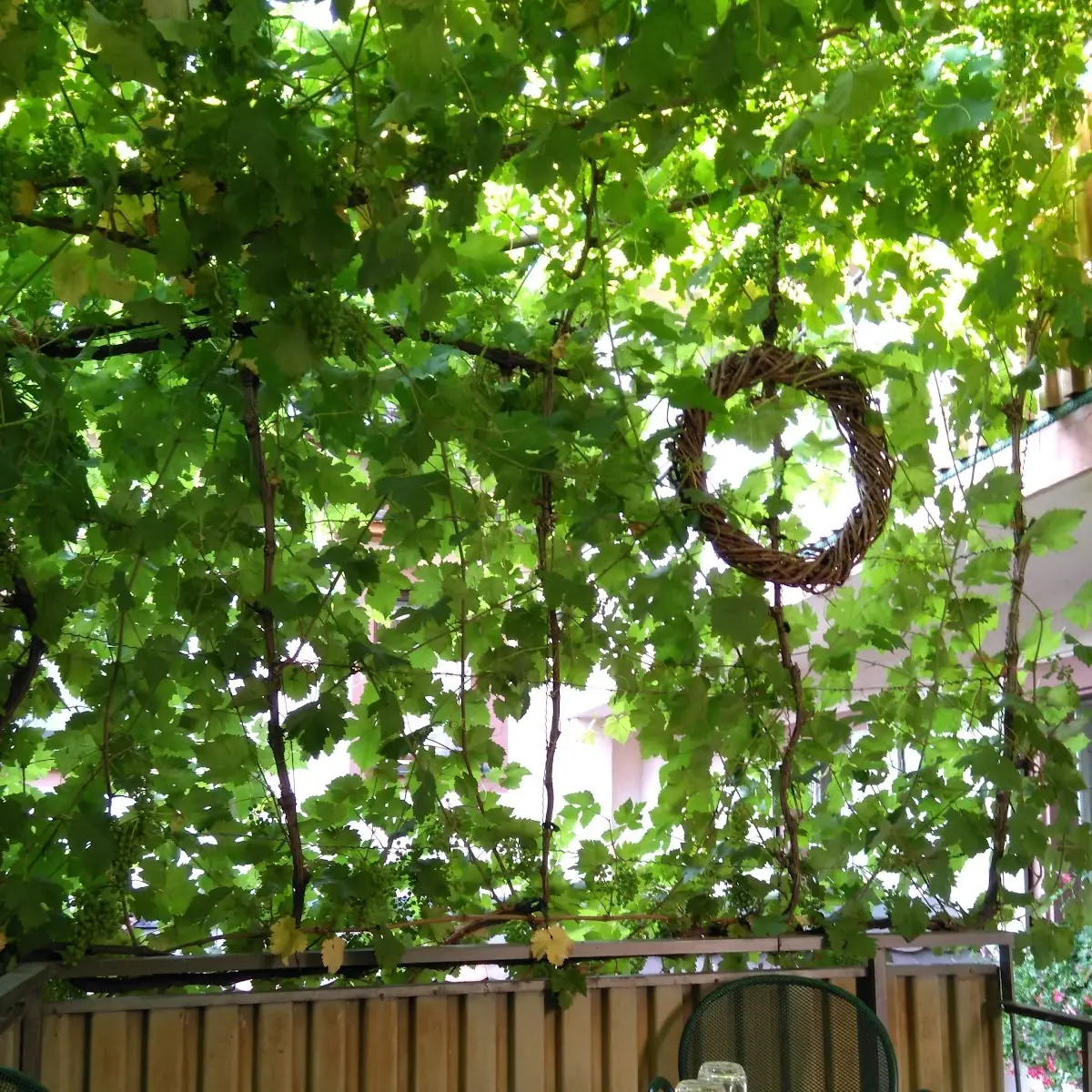 Atmosphäre, Gasthaus zum Kaiserstuhl - Lothar Koch
