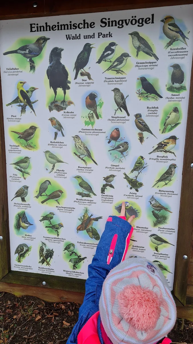 Speisekarte, Waldhaus Kalkbrüche / Kaltofen