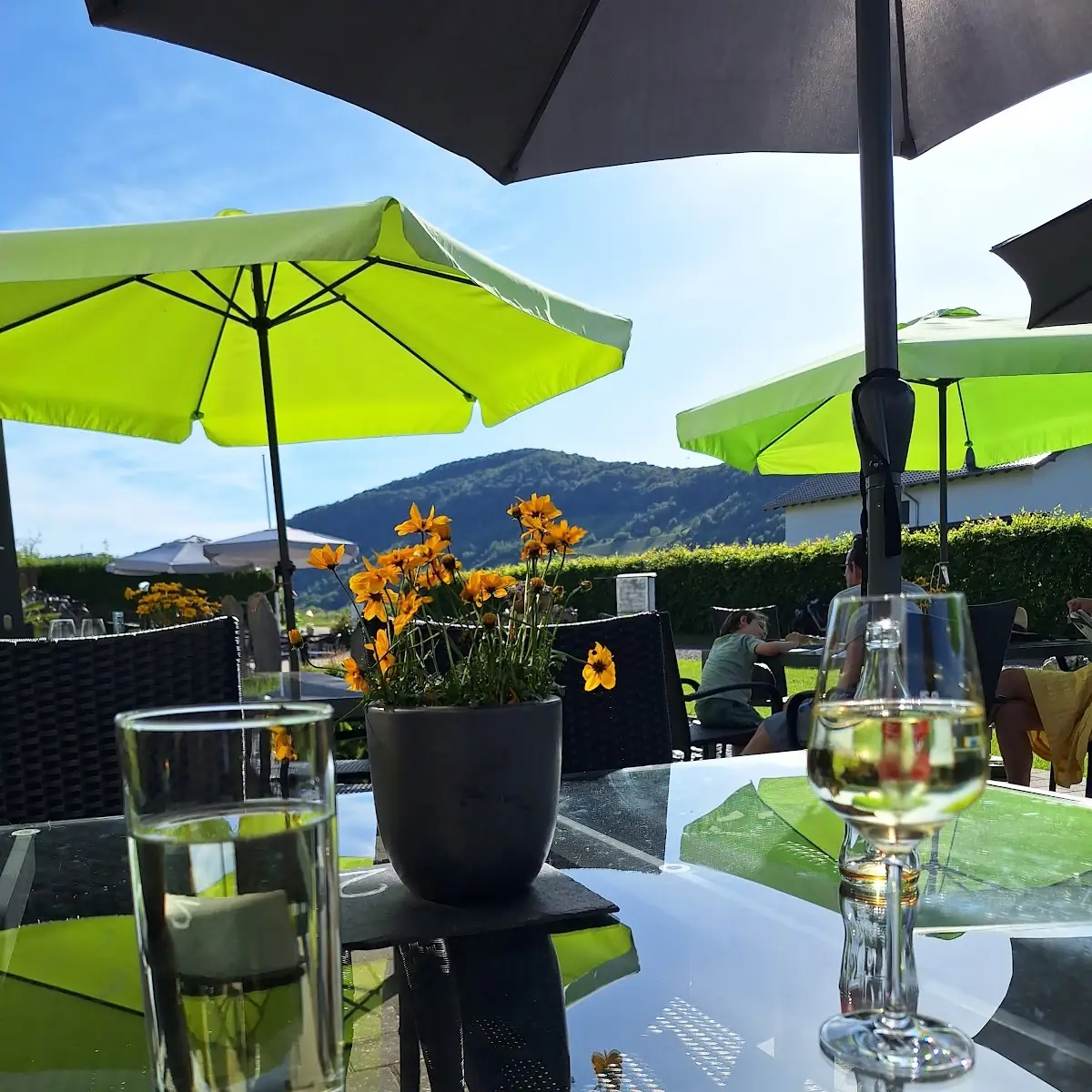 Atmosphäre, Weingut Ebert GbR