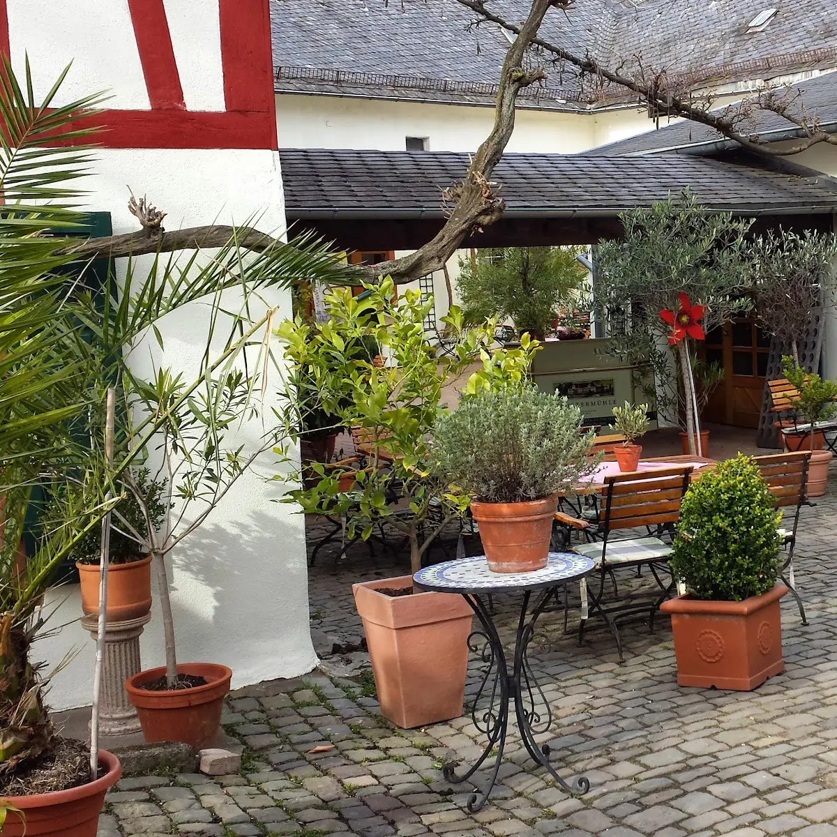 Atmosphäre photo 3