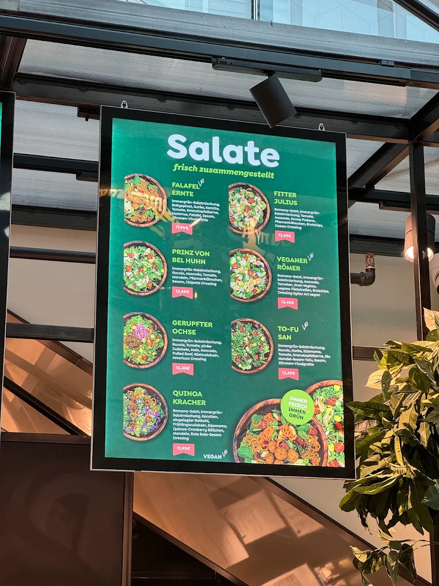 Speisekarte, immergrün
