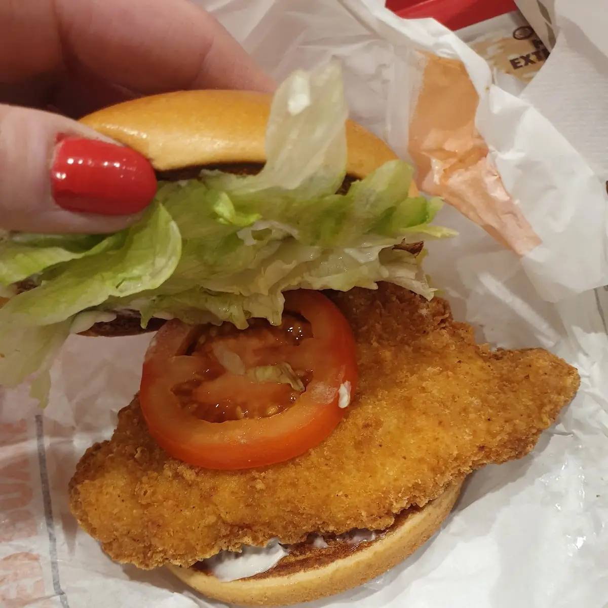 Essen und Trinken, Burger King Neustadt