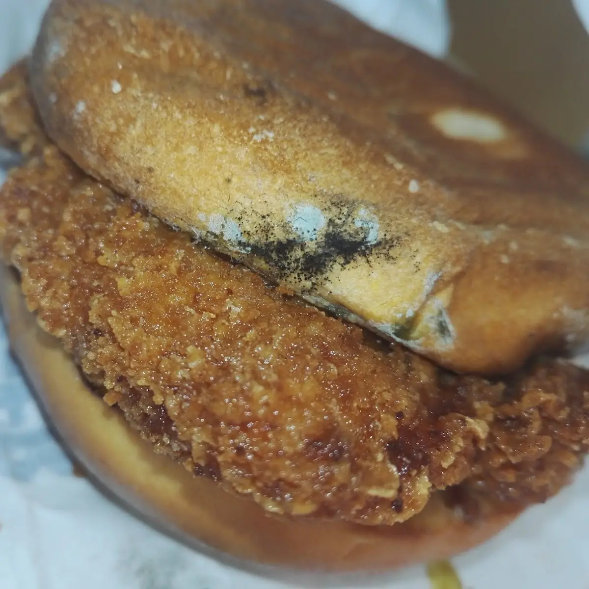 Essen und Trinken, Burger King Neustadt