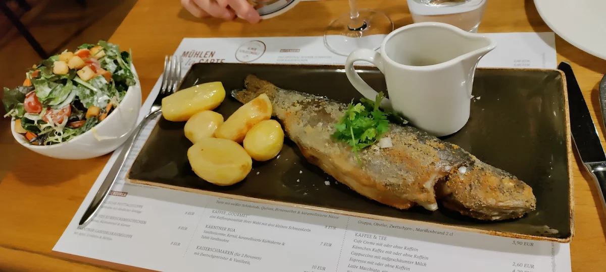 Speisekarte, Restaurant Almer Schlossmühle