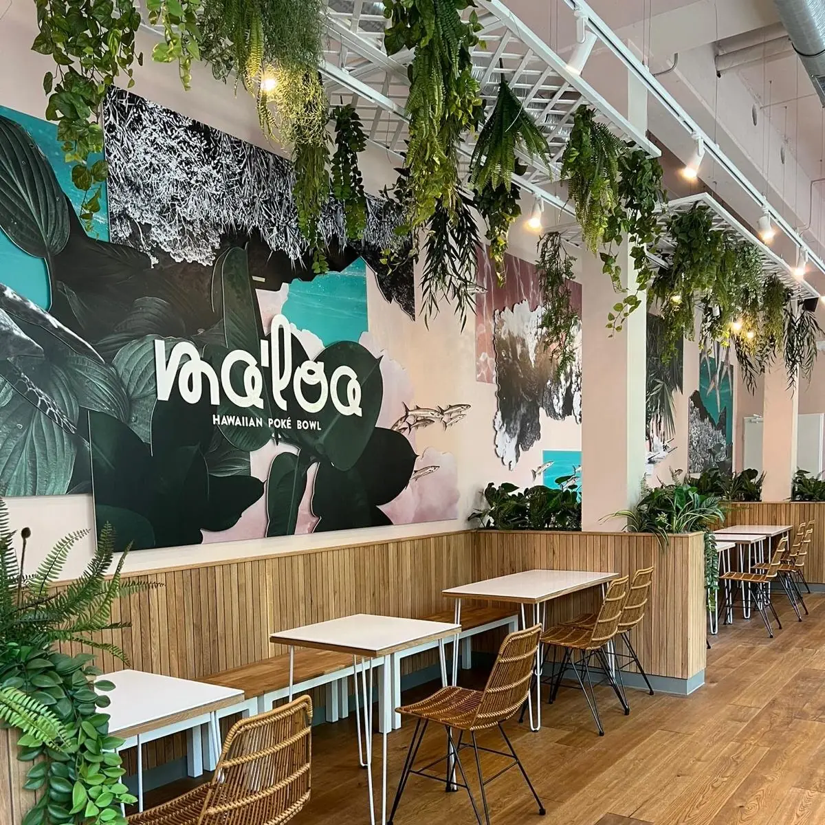Atmosphäre, MA'LOA Poké Bowl