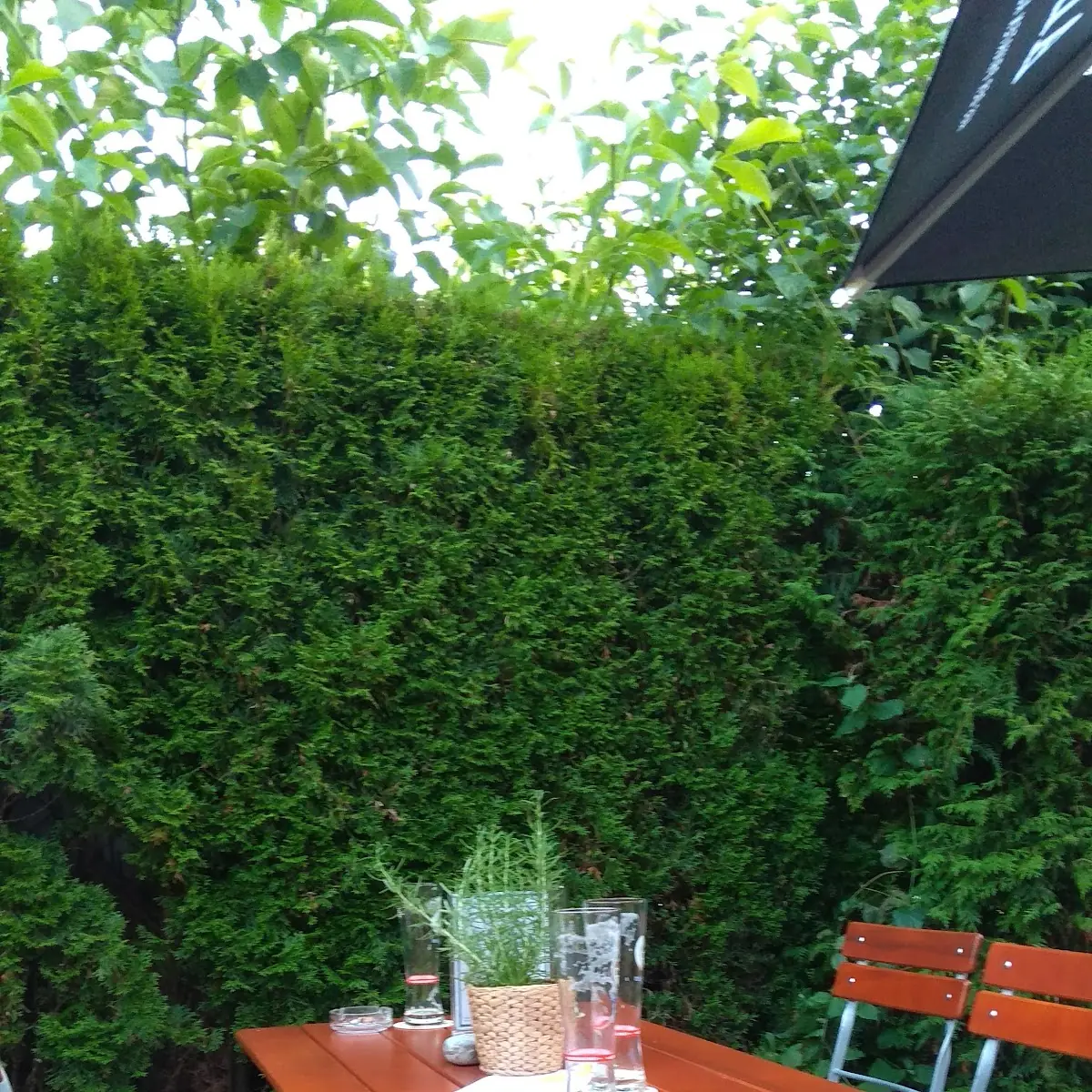Atmosphäre, Gasthaus Heimgarten