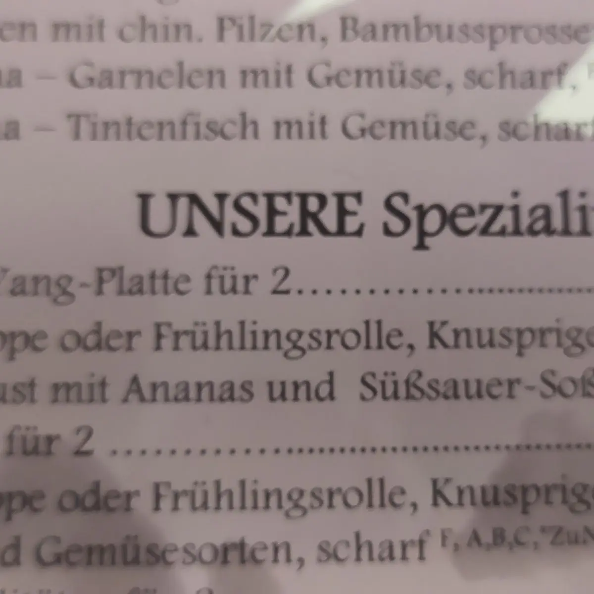 Speisekarte, Palasia Restaurant