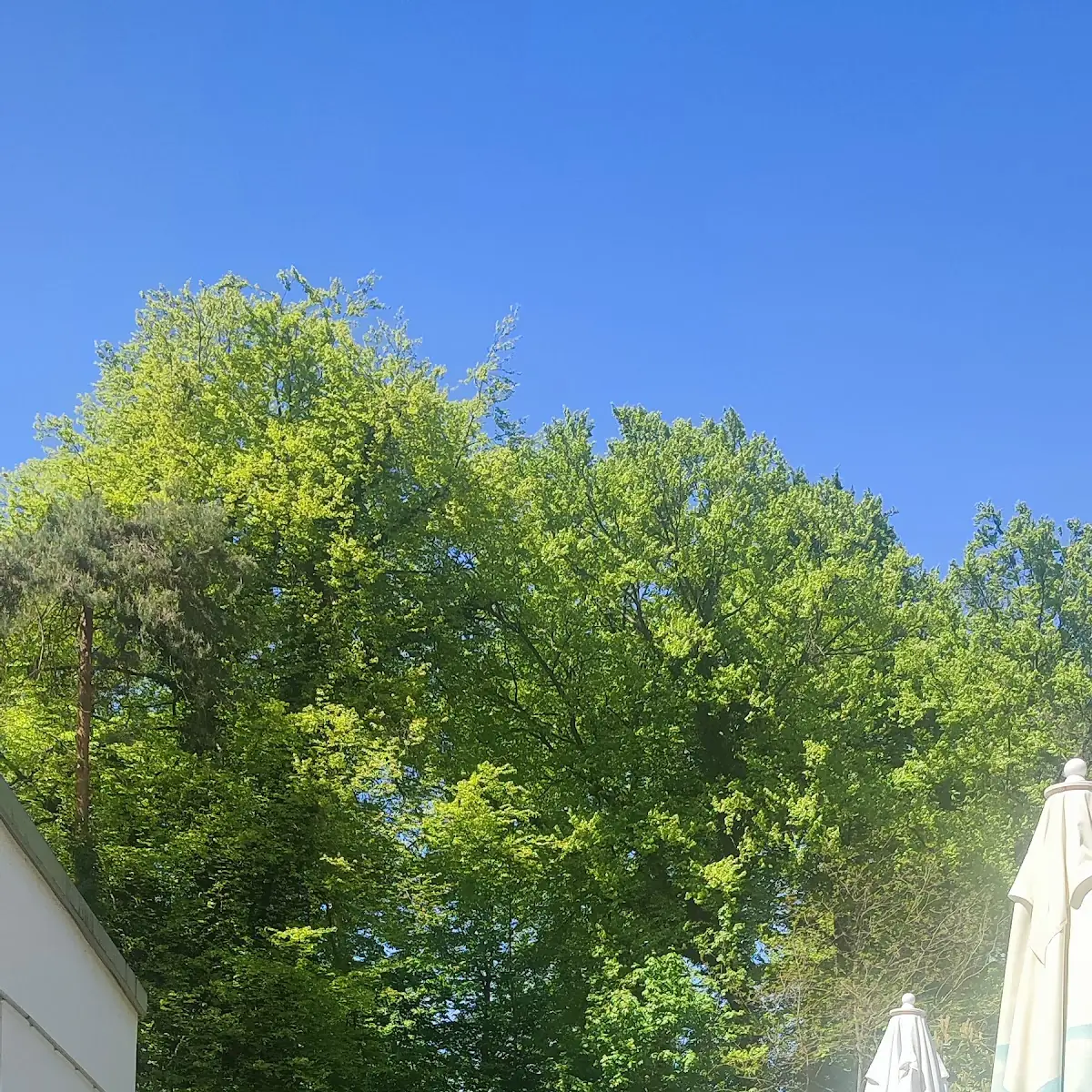 Atmosphäre photo 2