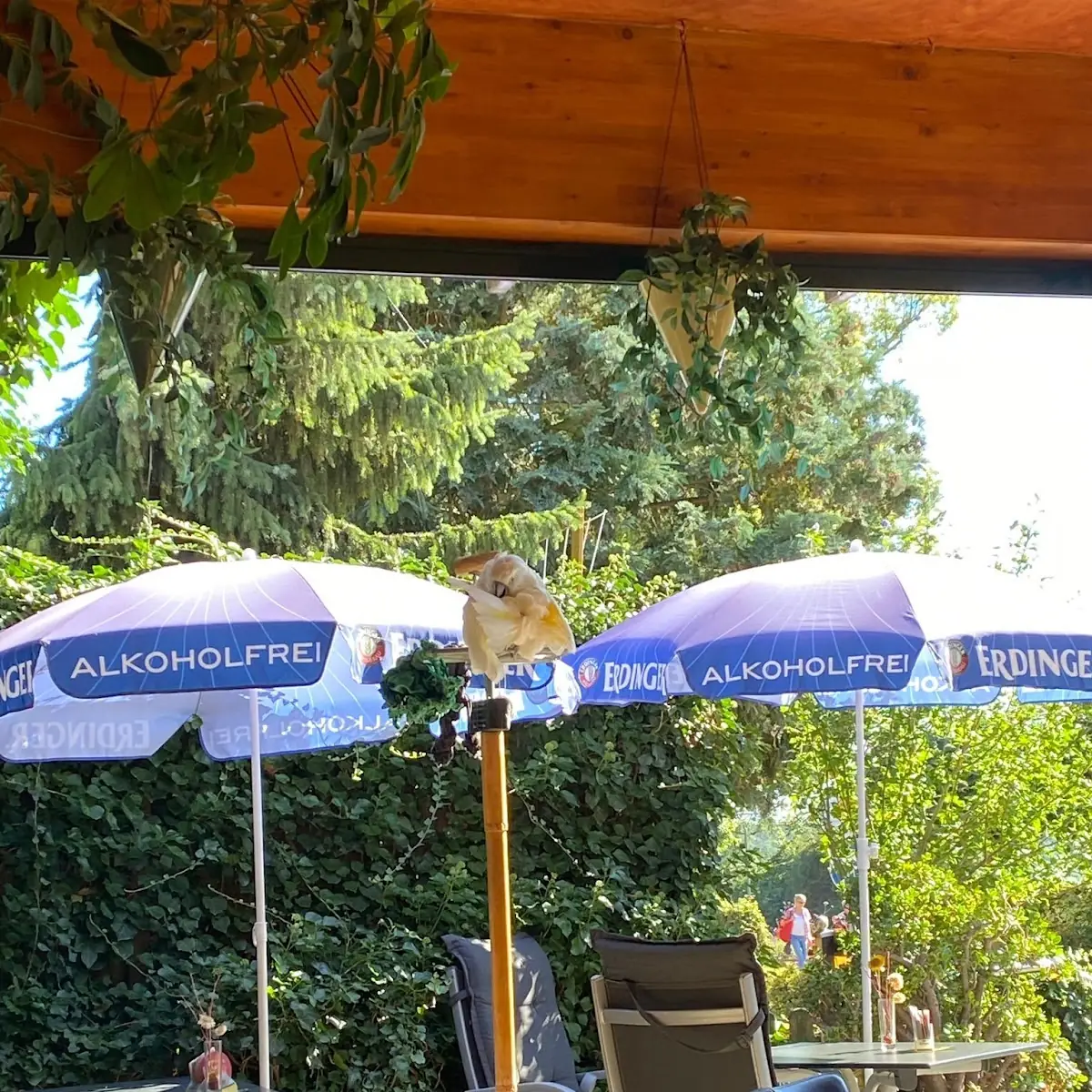 Atmosphäre photo 6