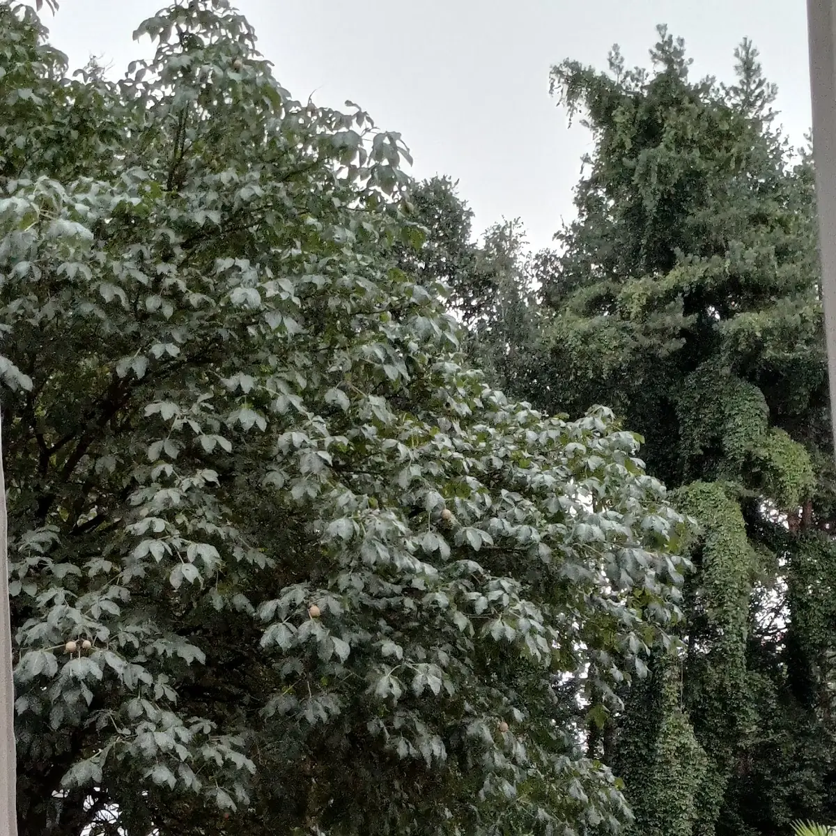 Atmosphäre photo 10