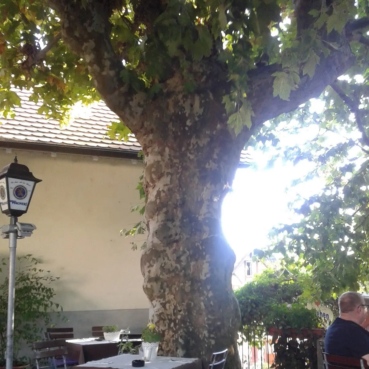 Atmosphäre photo 8