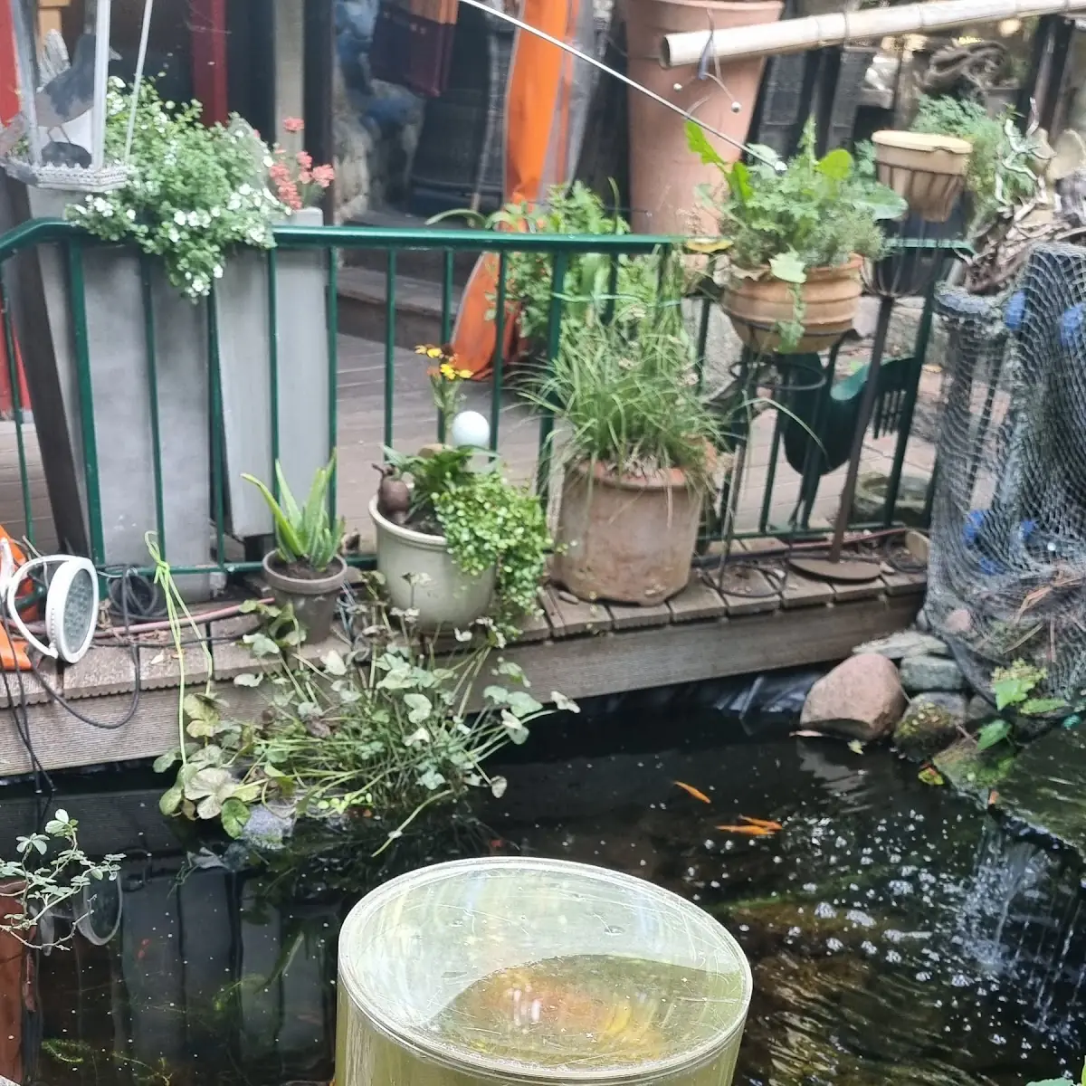 Essen und Trinken photo 8