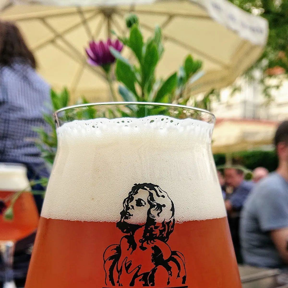 Beer