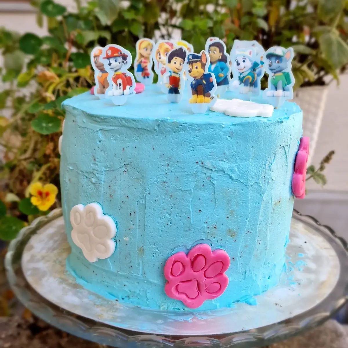 Torte