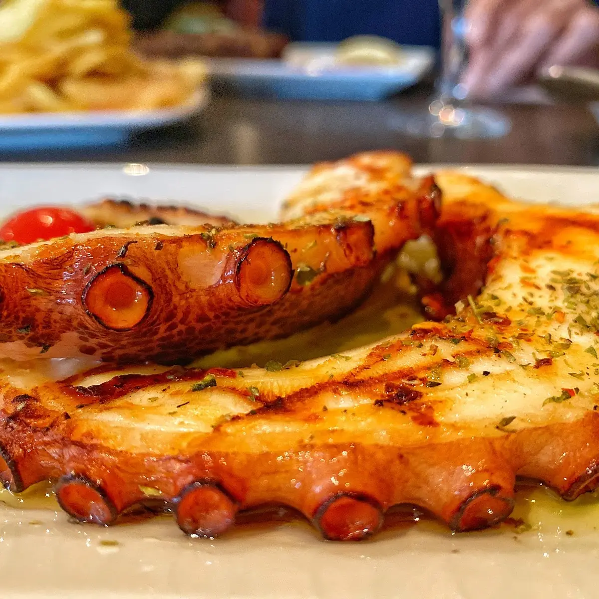 Gegrillter Oktopus