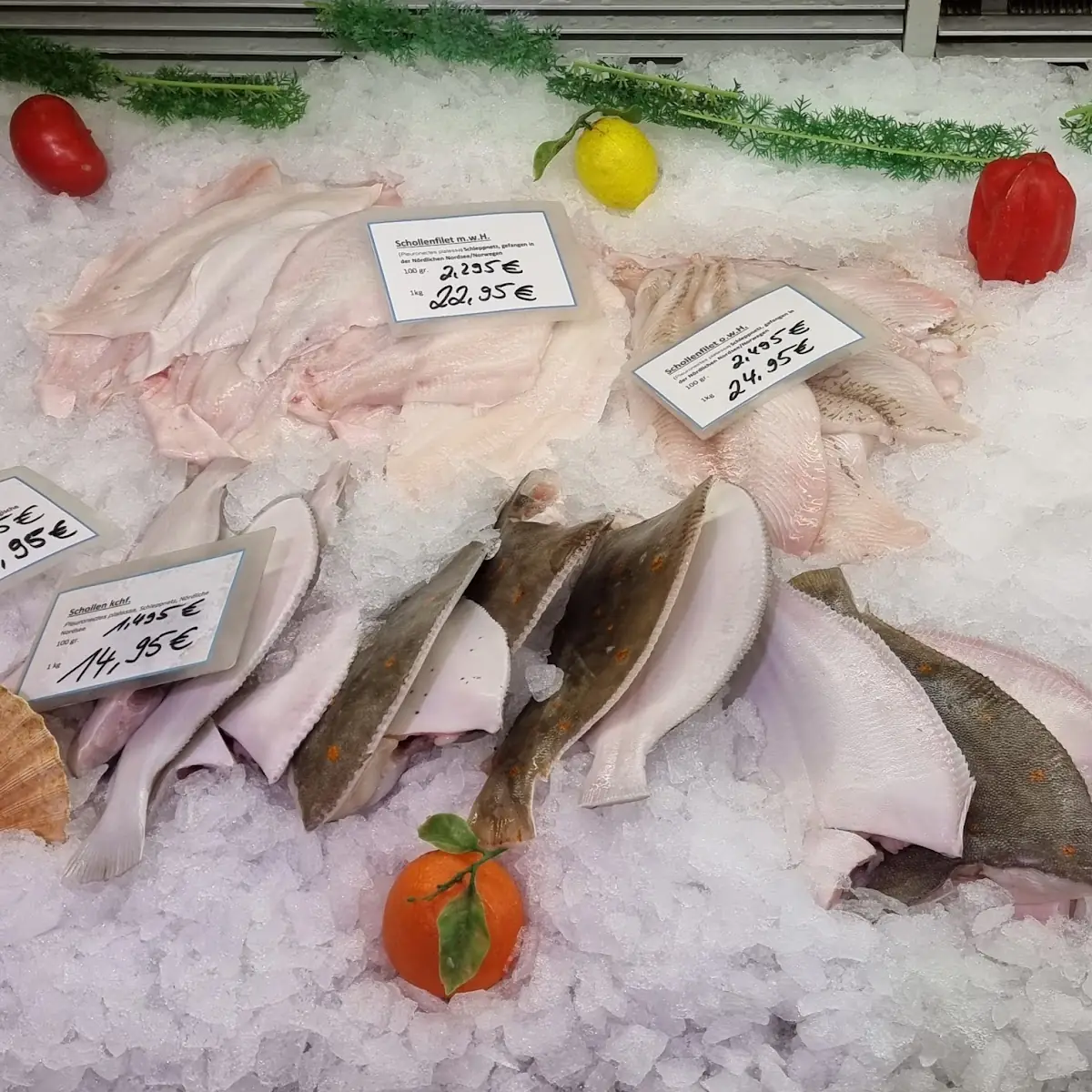 Fish