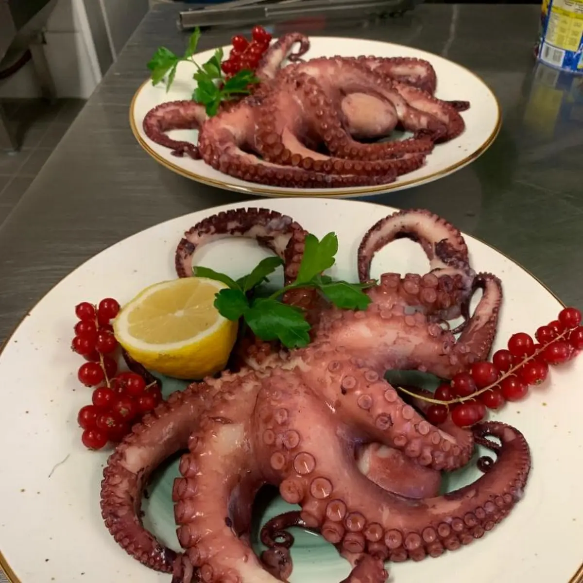 Octopus