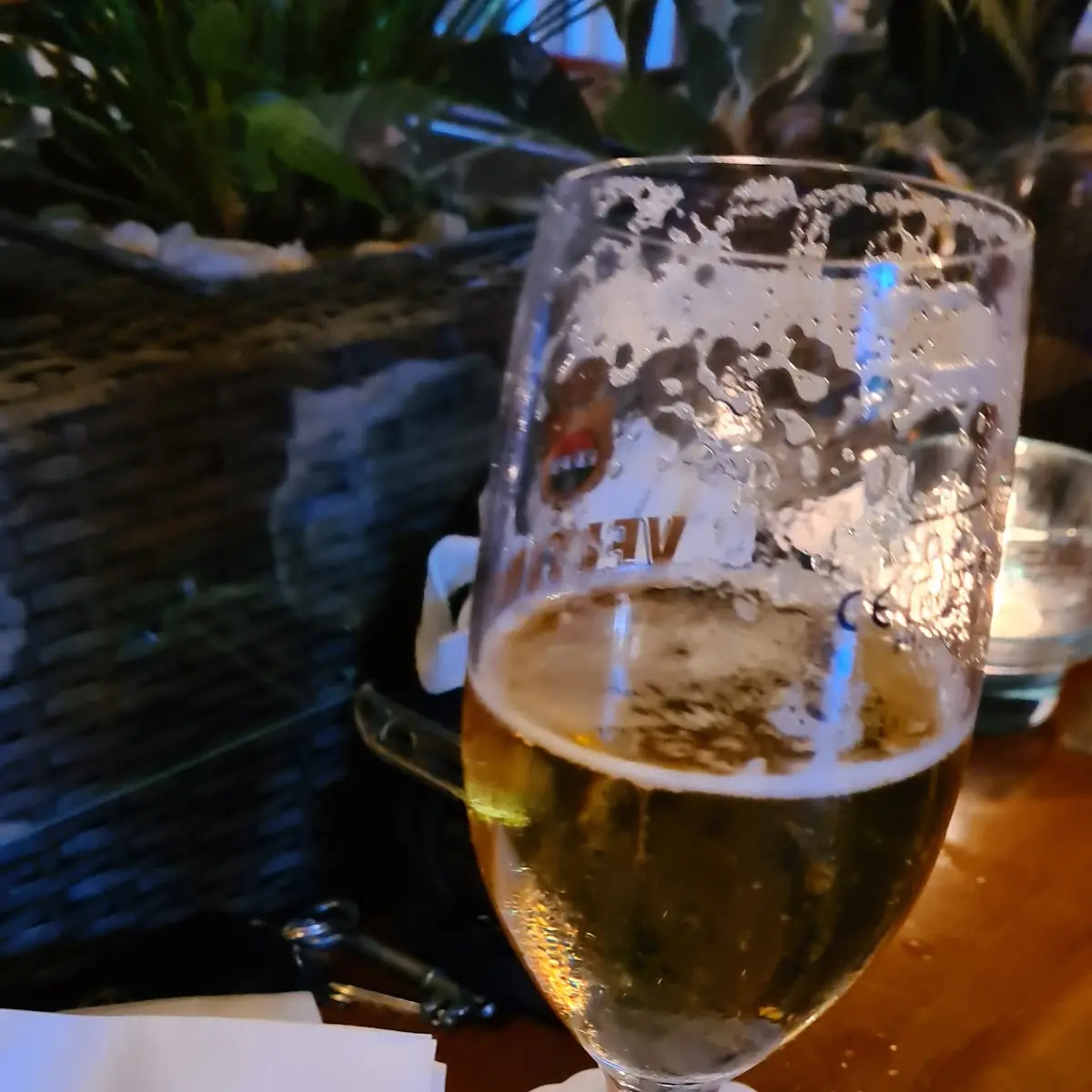 Bier