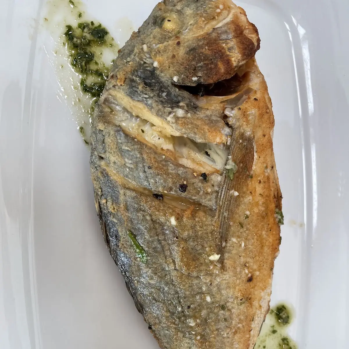 Dorade