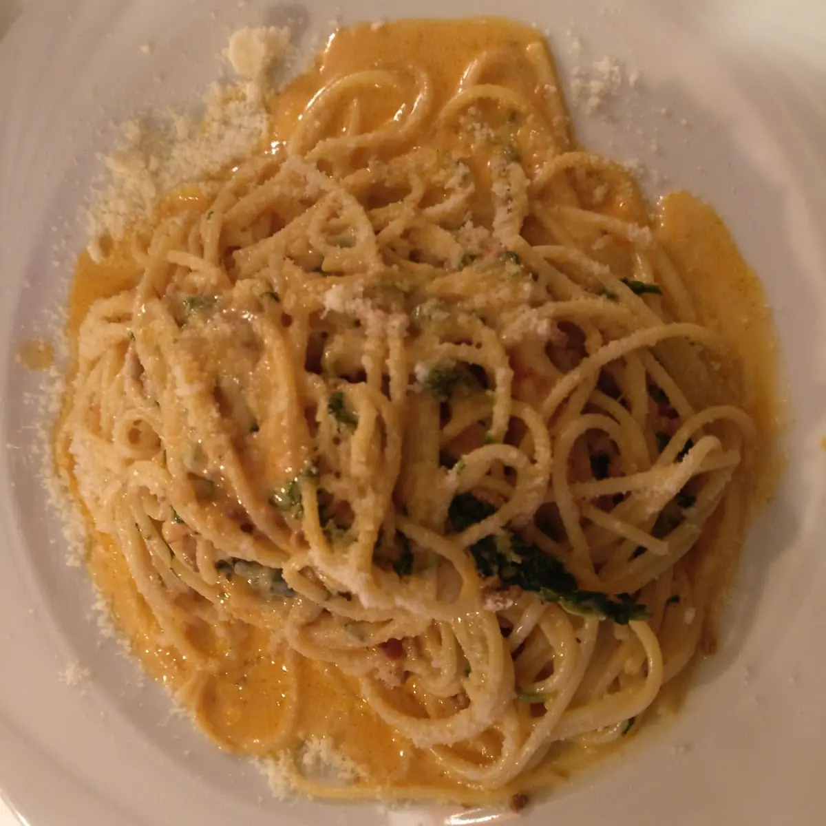Spaghetti Aurora Plus Spinat