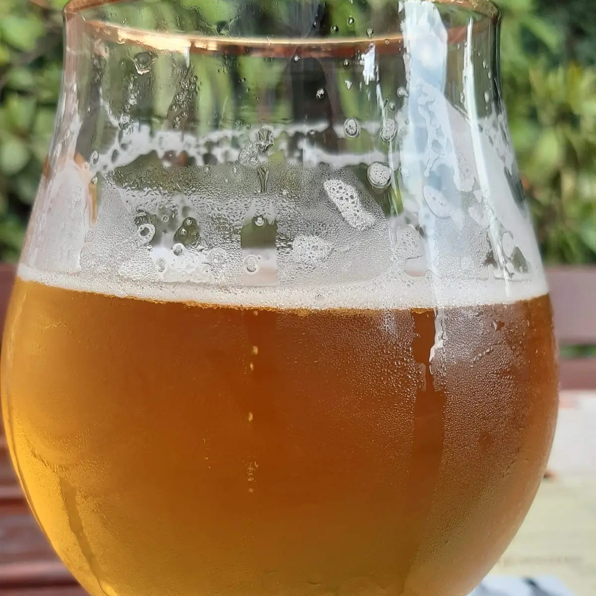 Bier