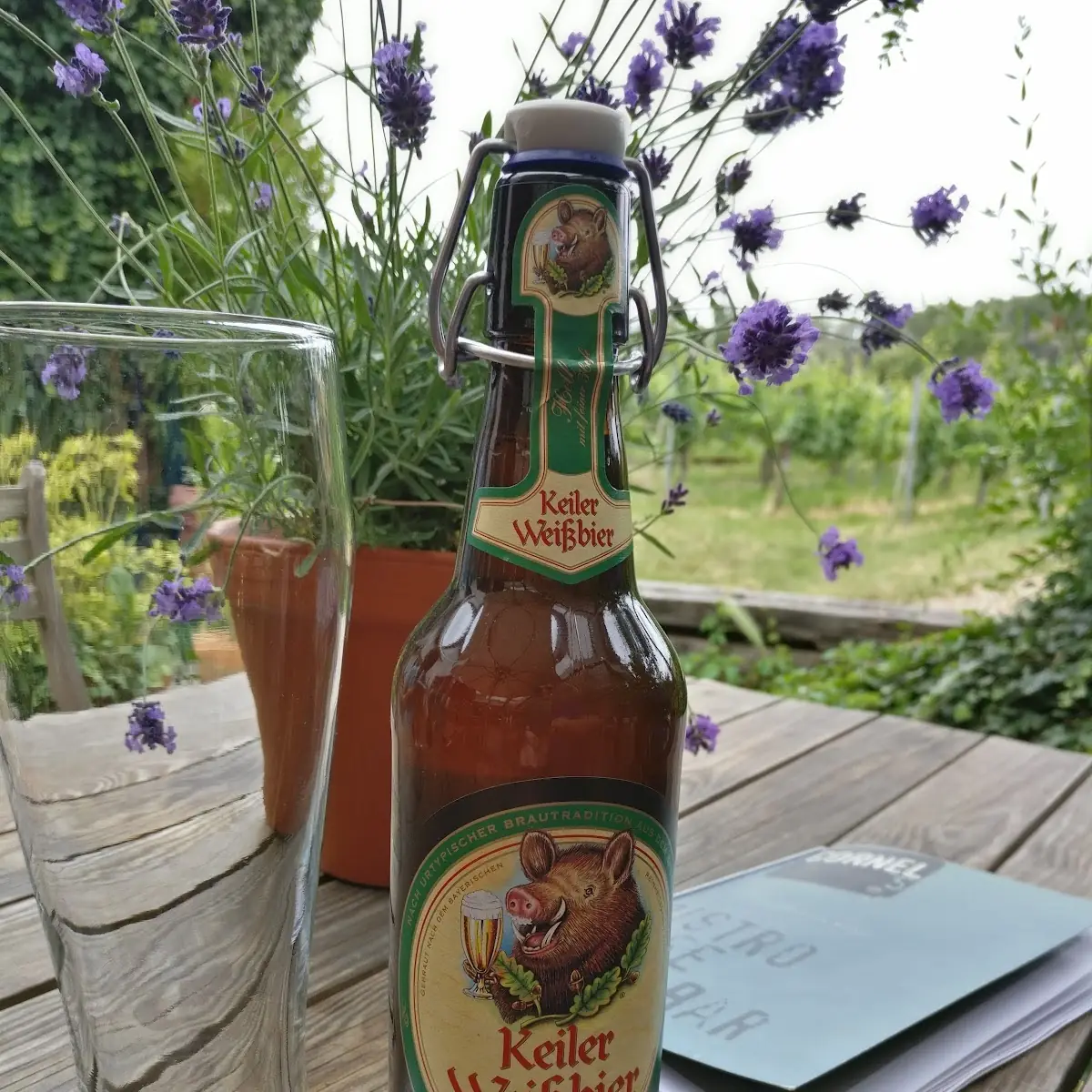 Bier