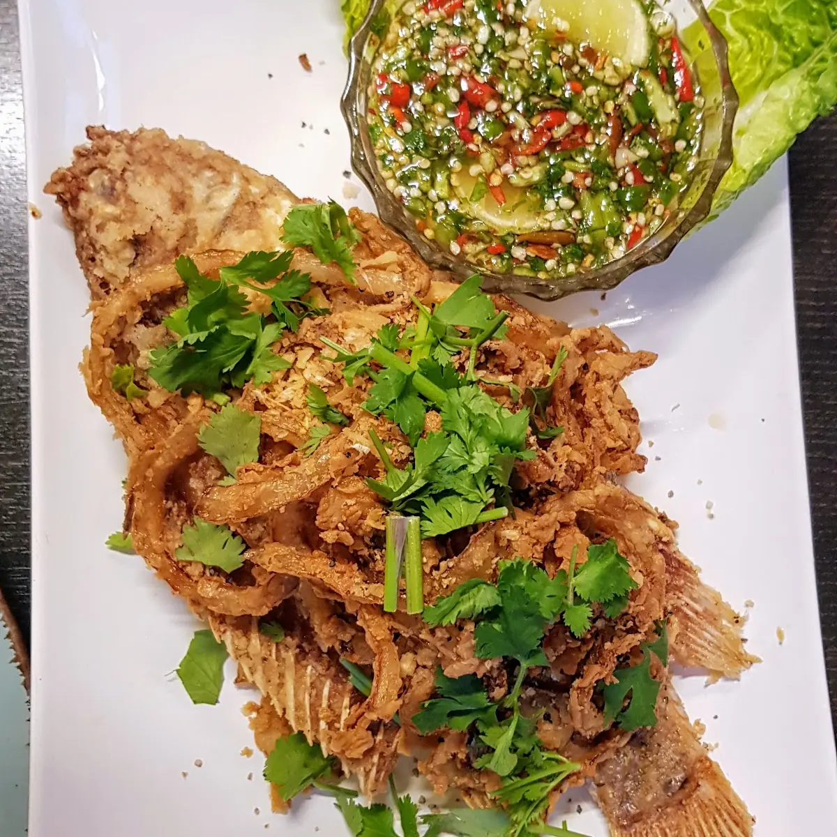 Tilapia