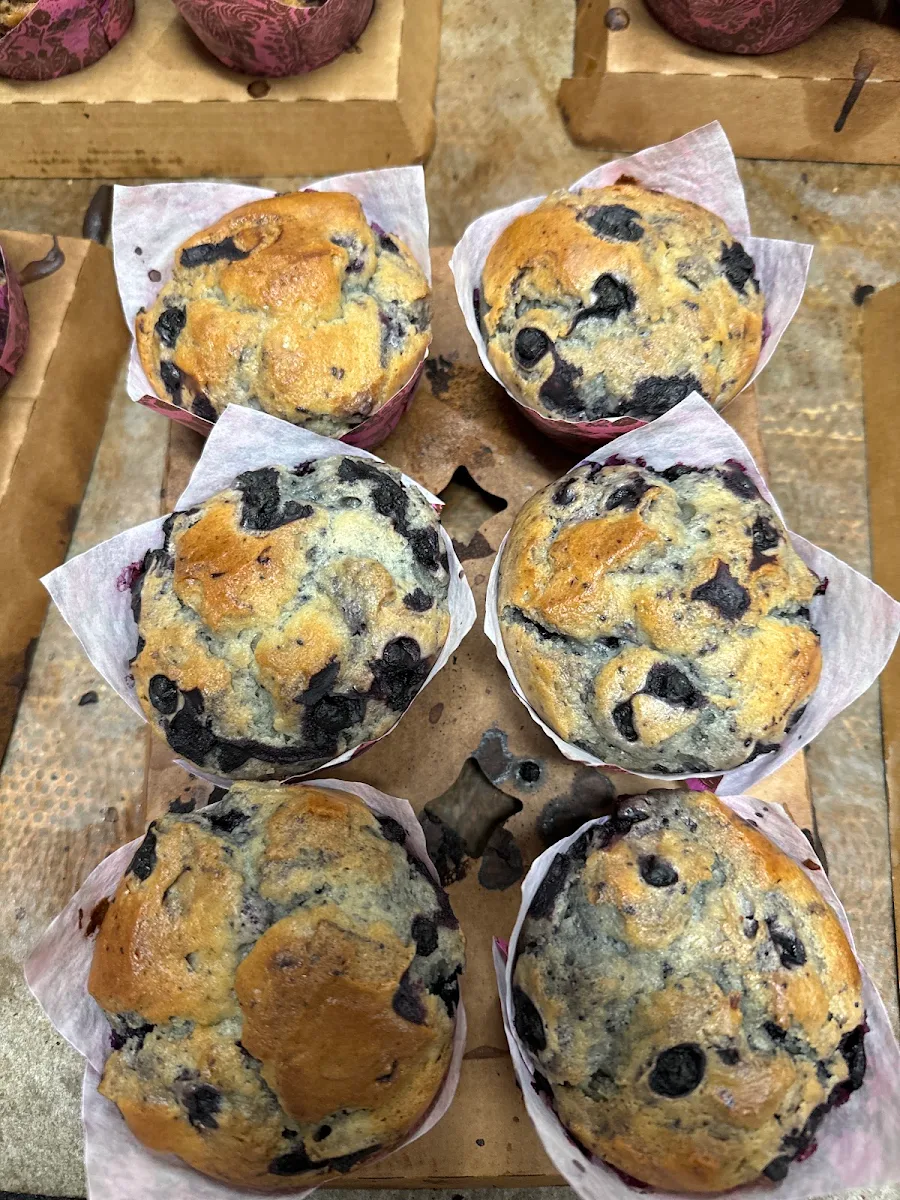 Highlight 3