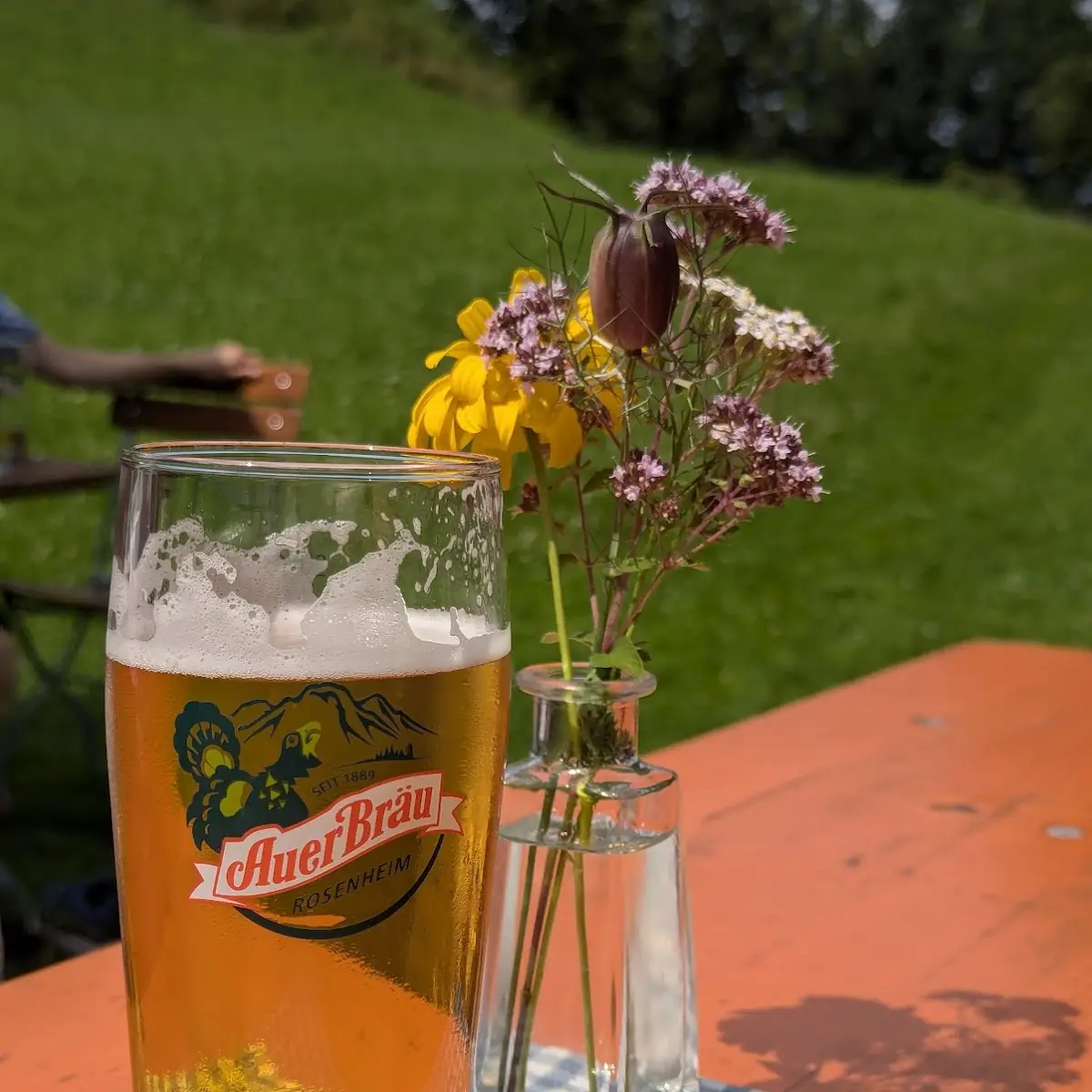 Bier