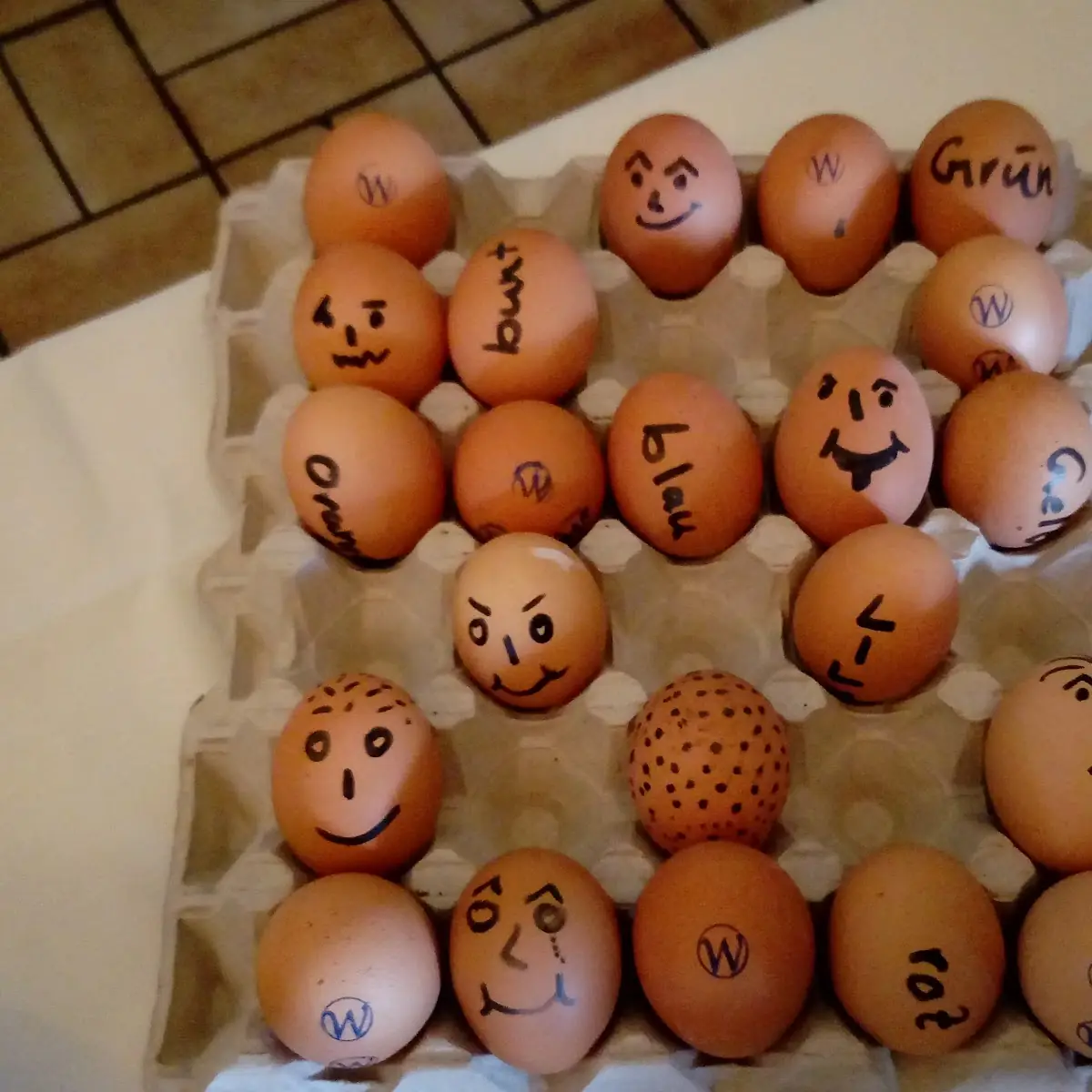 Egg