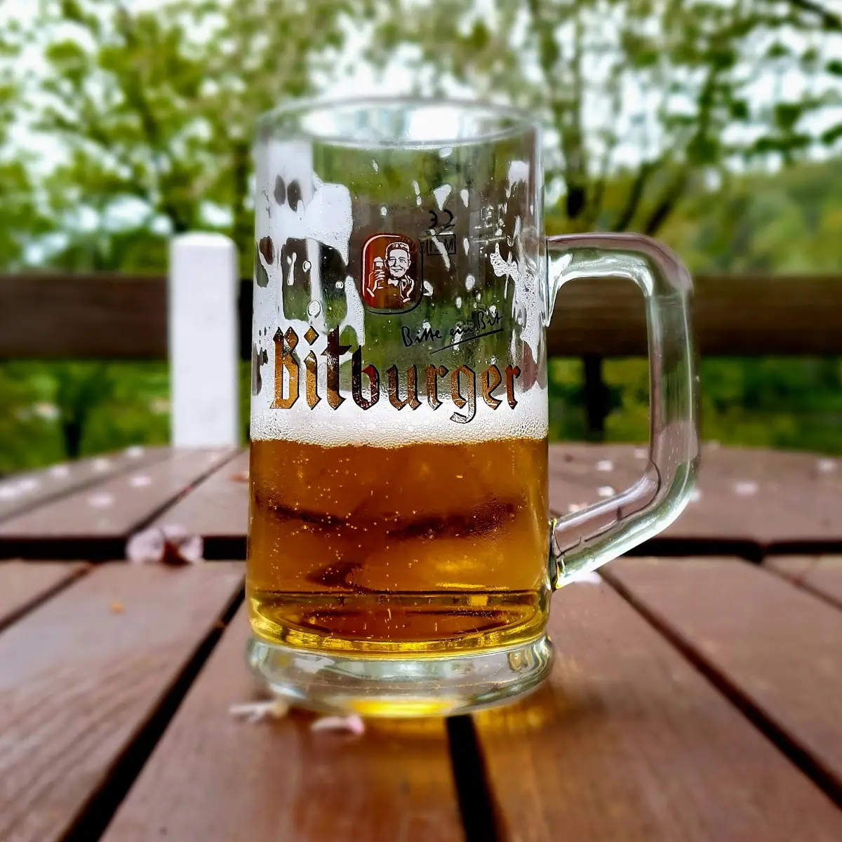 Bier