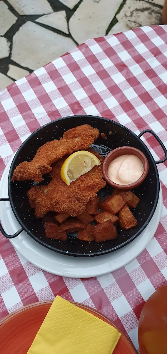 Pollo